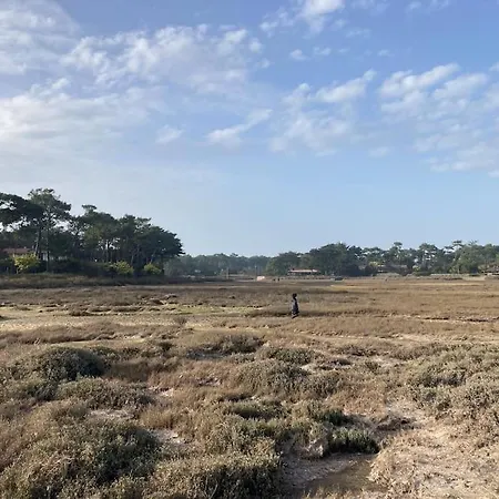 Ferienhaus Cabane Des Sables Lège-Cap-Ferret